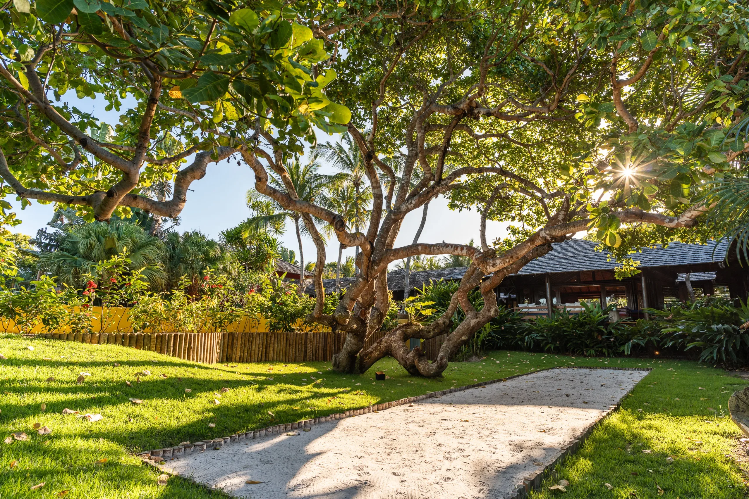 Patimirim Casa Principal - jardín con árbol y camino de arena