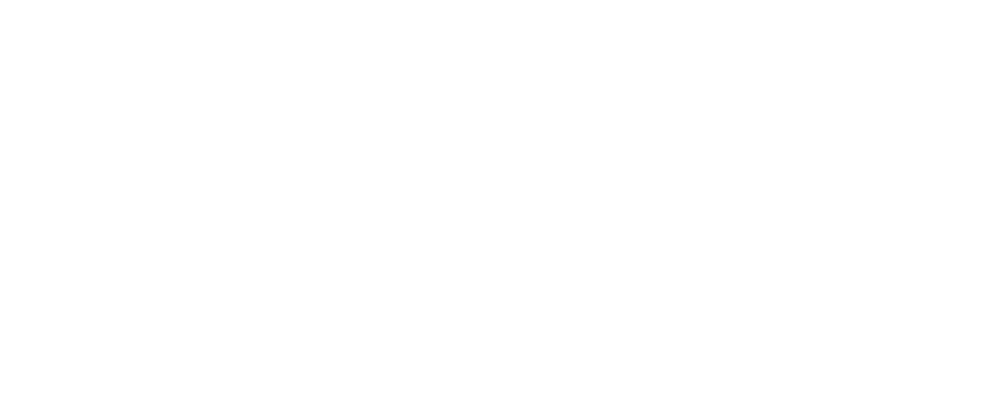 Arezzo Brizza