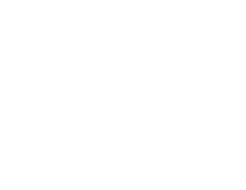 Tartarugas