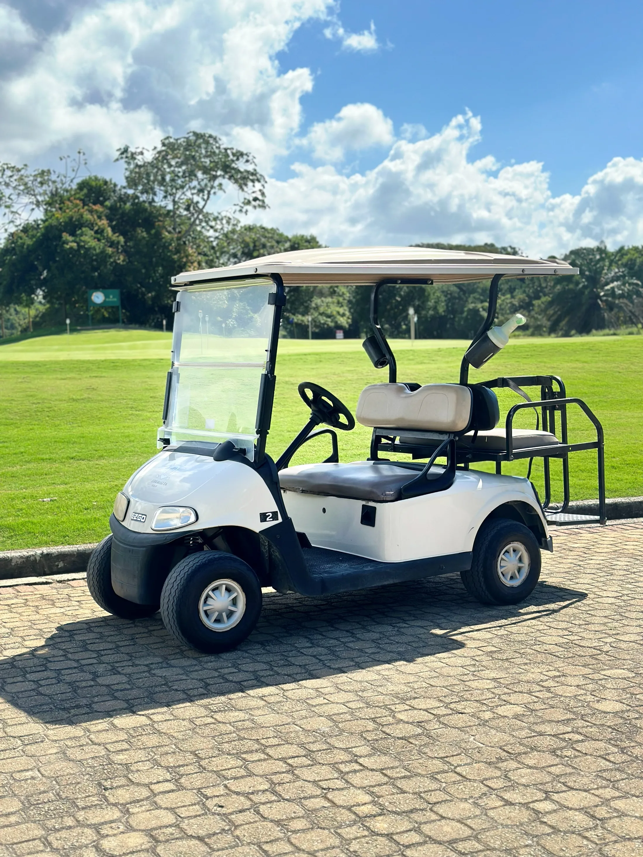 Golf Cart 4-seat