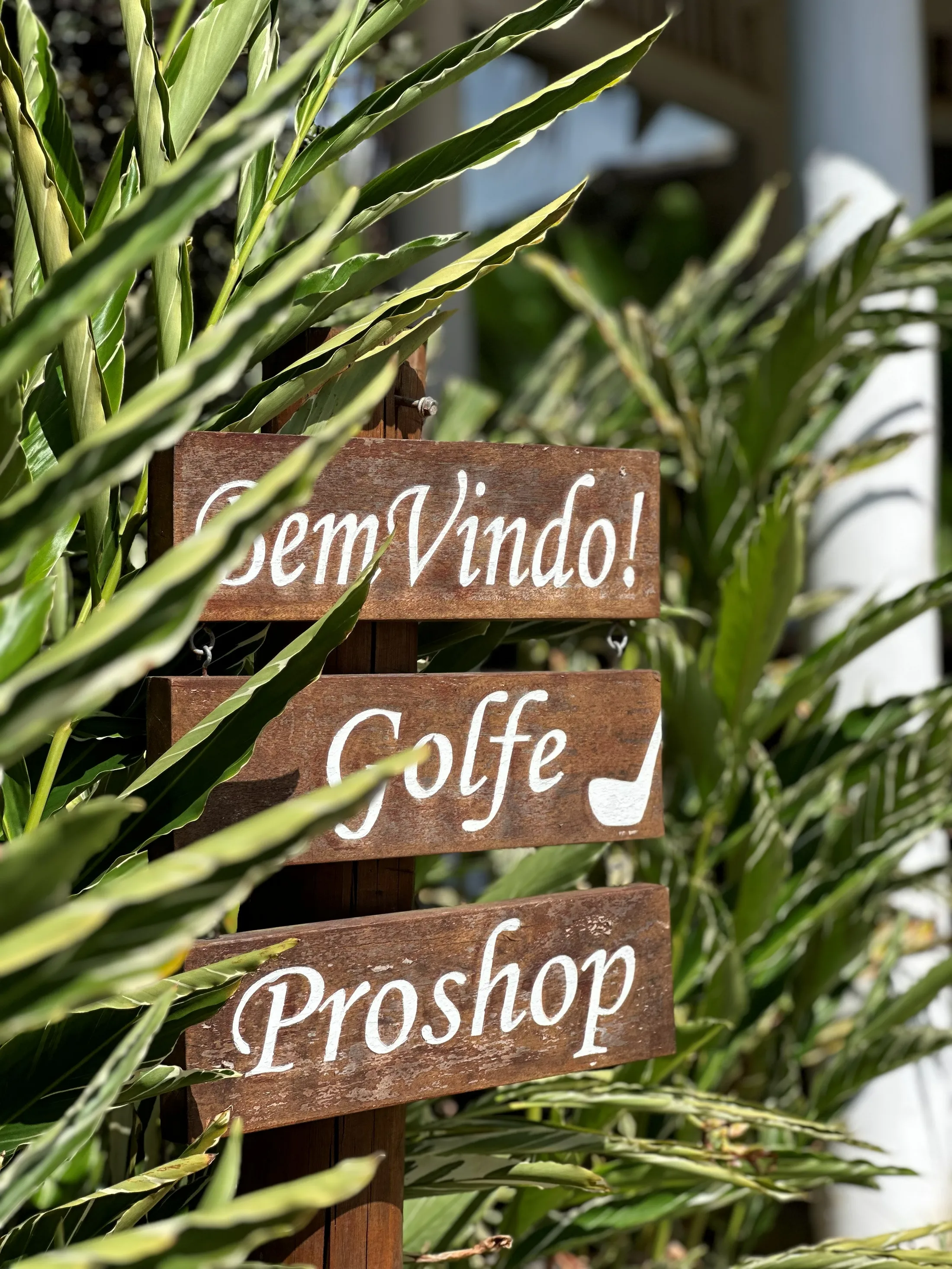Pro Shop 1