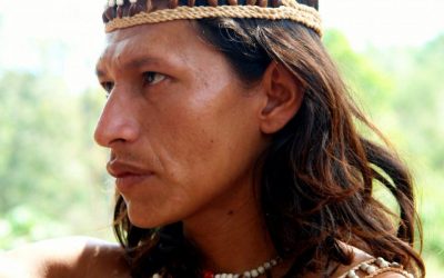 Saiba mais sobre os povos indígenas do Brasil