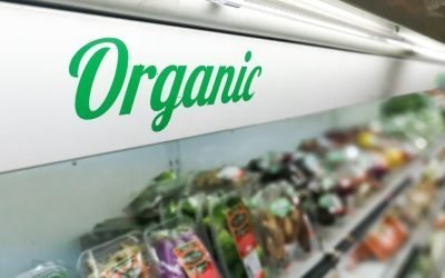 Os benefícios da alimentação orgânica